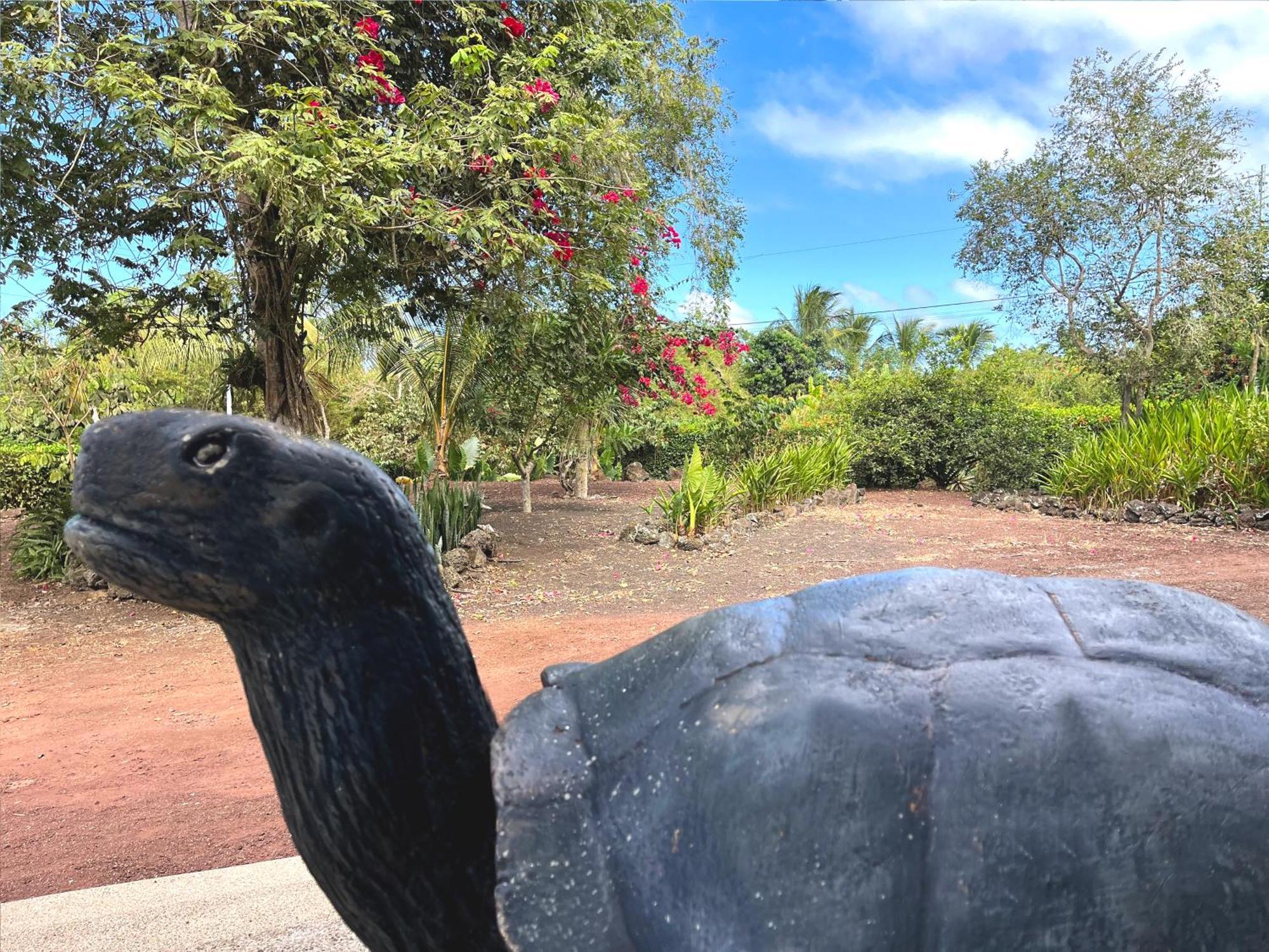Hotel Tortuga Bay - Galapagos Пуерто Айора Екстериор снимка